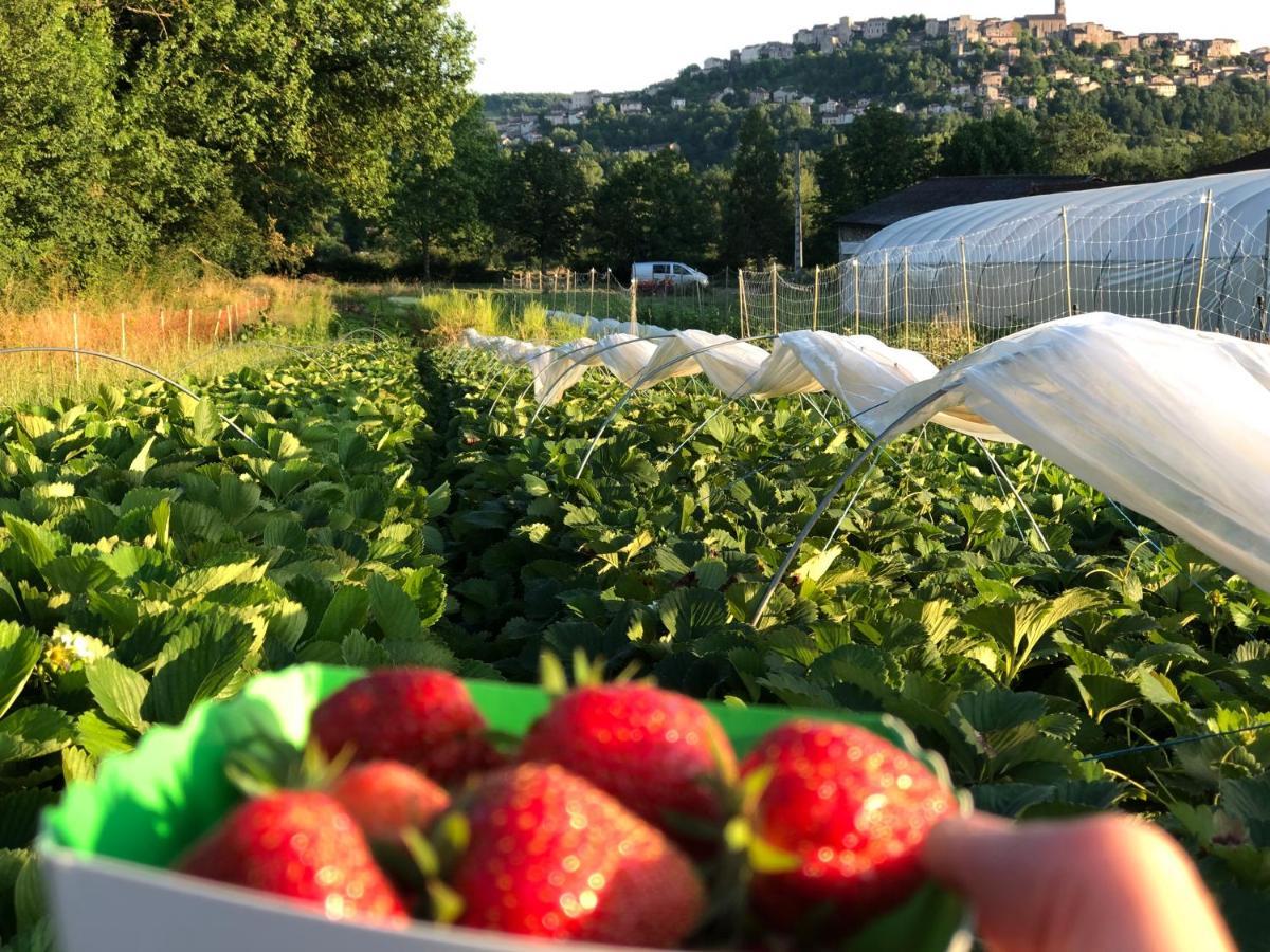 Gite A La Ferme De Verdurette קורד-סור-סיאל מראה חיצוני תמונה