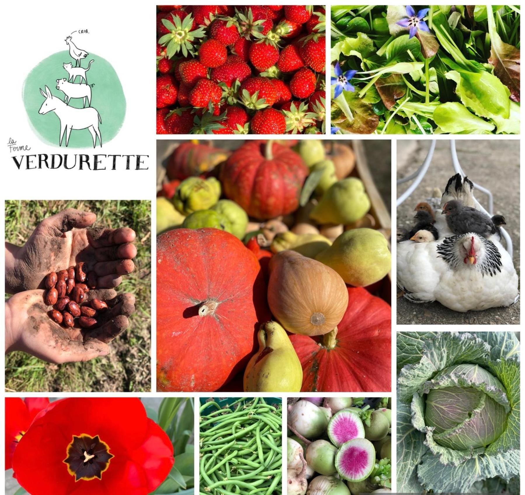 Gite A La Ferme De Verdurette קורד-סור-סיאל מראה חיצוני תמונה
